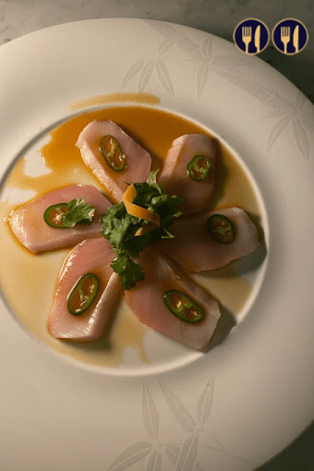 MATSUHISA PARIS