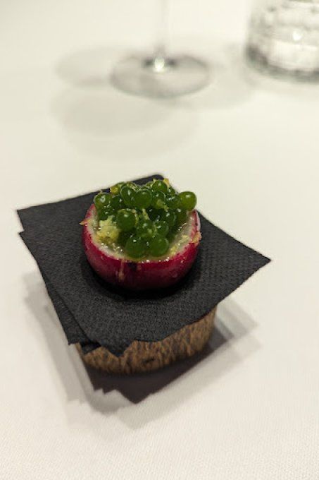LES TERRAILLERS